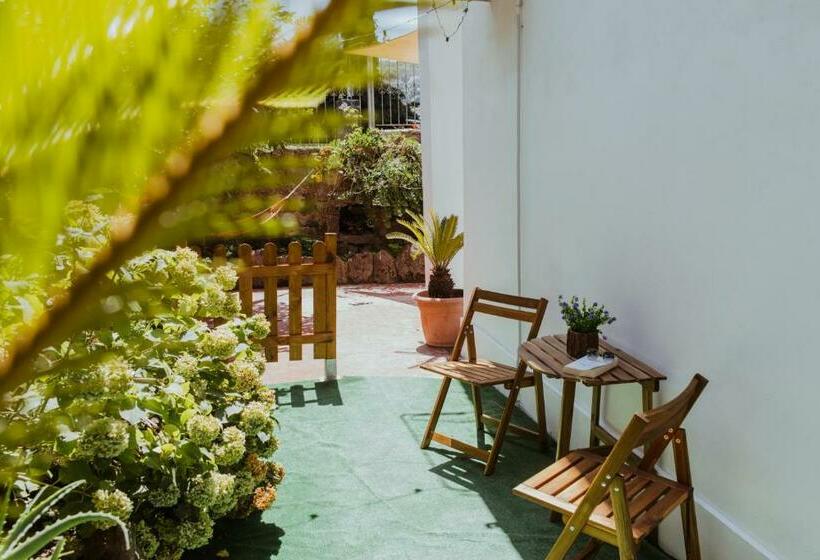 اتاق استاندارد, Lemon Tree Rooms