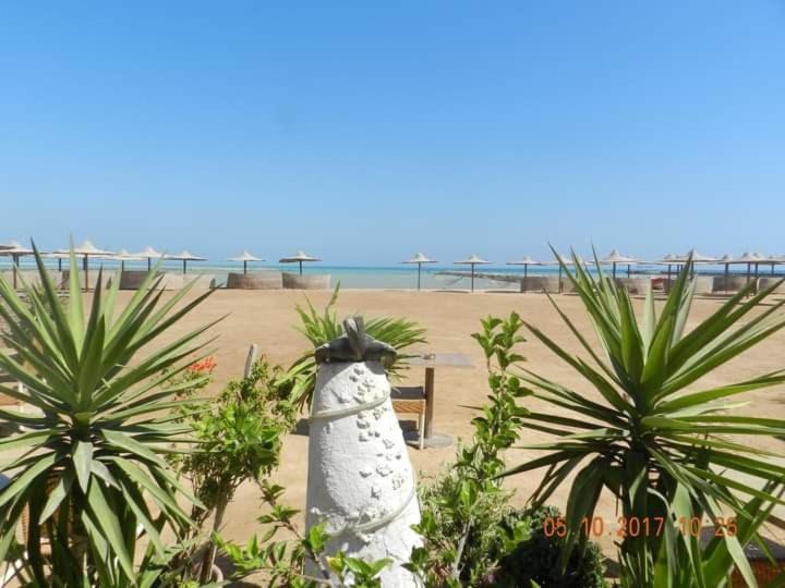 آپارتمان 1 خوابه, Turtles Beach Resort Hurghada Studio View Sea View Pool Private Beach Pools Anf Sunny Balcony