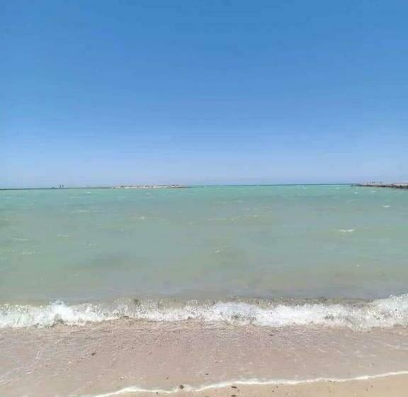 آپارتمان 1 خوابه, Turtles Beach Resort Hurghada Studio View Sea View Pool Private Beach Pools Anf Sunny Balcony