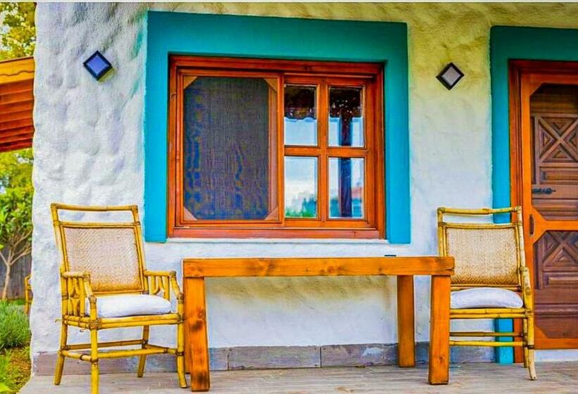سوییت, Portofino Urla Boutique