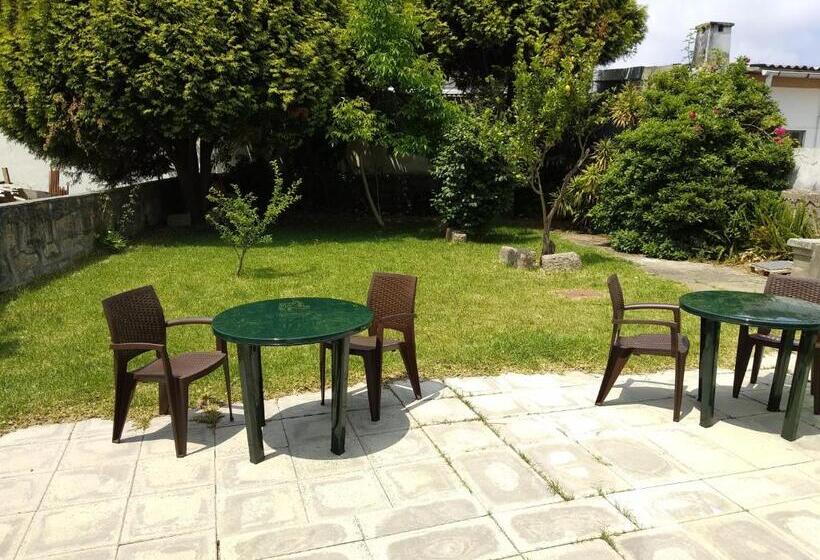 چادر با خدمات رفاهی استاندارد, Airporto Hostel