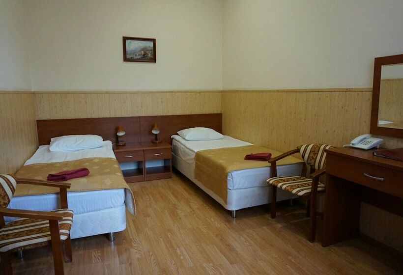 اتاق استاندارد, Amaks Shakhter Sanatorium