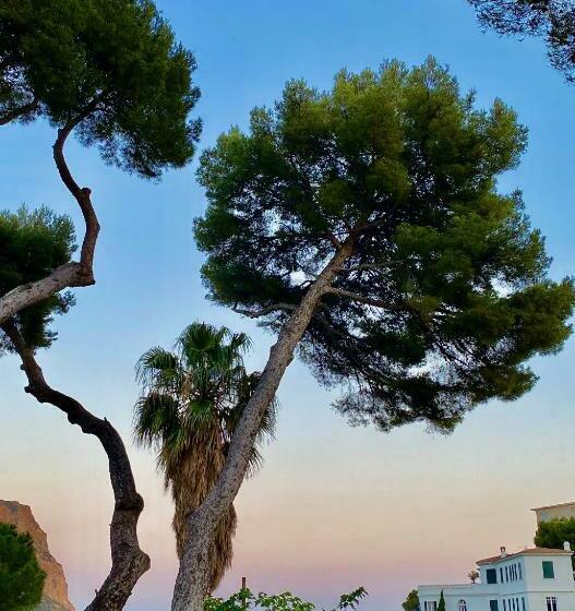 اتاق استاندارد با چشم‌انداز دریا, Le Jardin D'emile