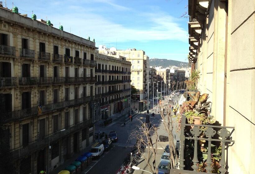اتاق استاندارد, Pension Ciudadela