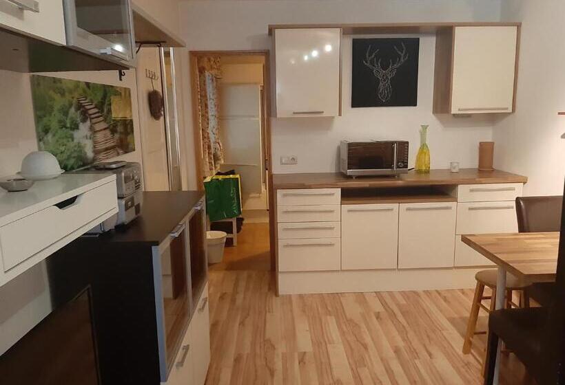 آپارتمان 1 خوابه, Platzhirsch Zur Alten Wagnerei Gästehaus