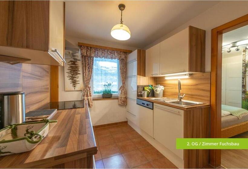 آپارتمان 1 خوابه, Platzhirsch Zur Alten Wagnerei Gästehaus