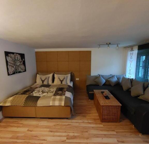 آپارتمان 2 خوابه, Platzhirsch Zur Alten Wagnerei Gästehaus