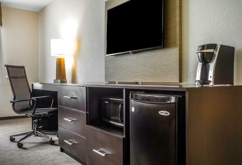 اتاق استاندارد با تخت بزرگ, Sleep Inn & Suites East Syracuse