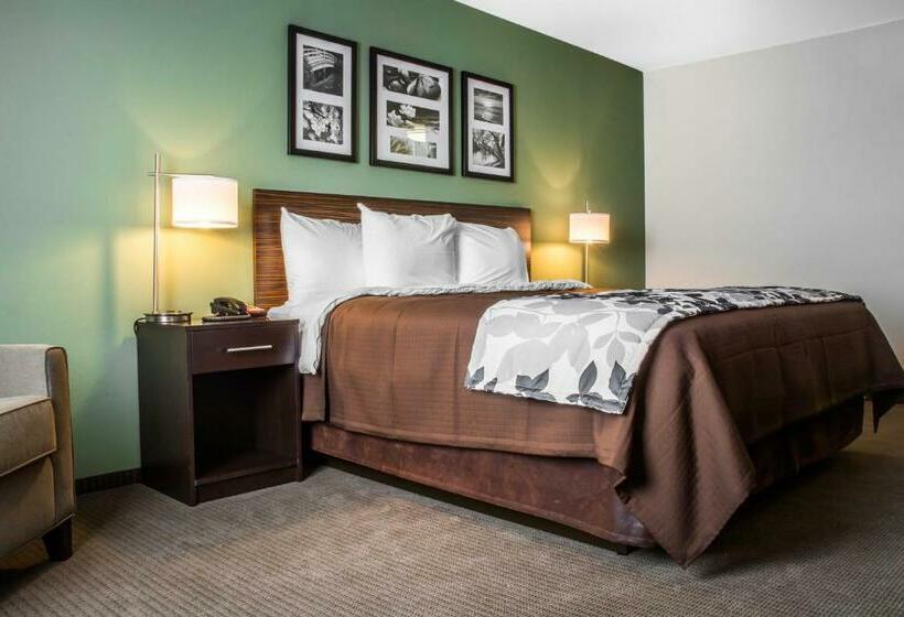 اتاق استاندارد با تخت بزرگ, Sleep Inn & Suites East Syracuse