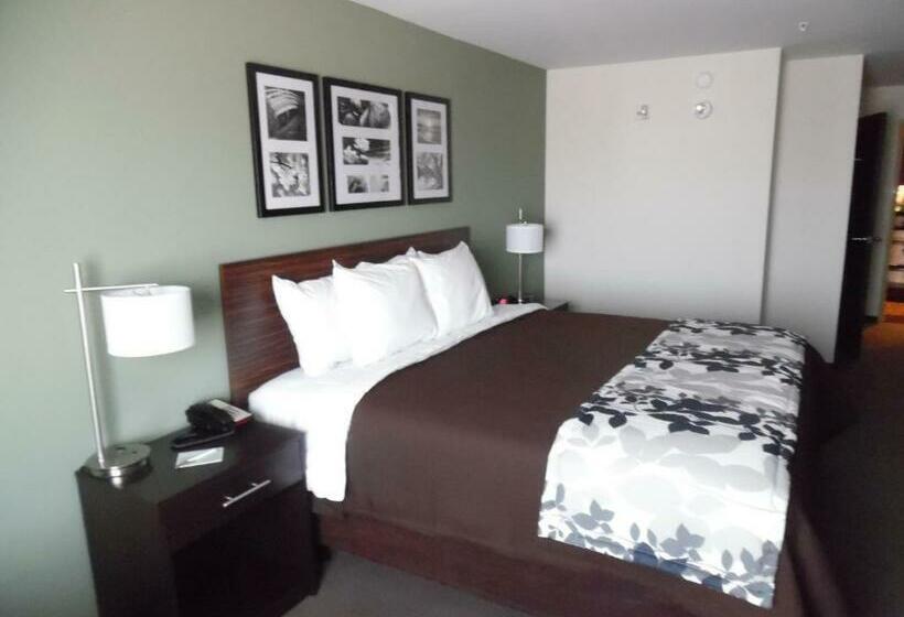 اتاق استاندارد با تخت بزرگ, Sleep Inn & Suites East Syracuse