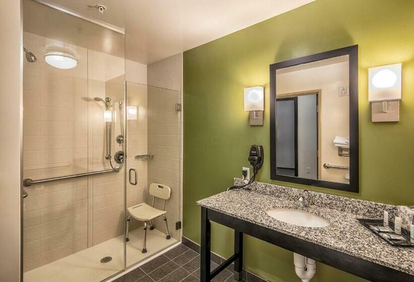 اتاق استاندارد با تخت بزرگ, Sleep Inn & Suites East Syracuse