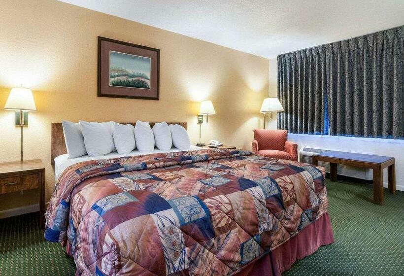 اتاق استاندارد با تخت بزرگ, Rodeway Inn