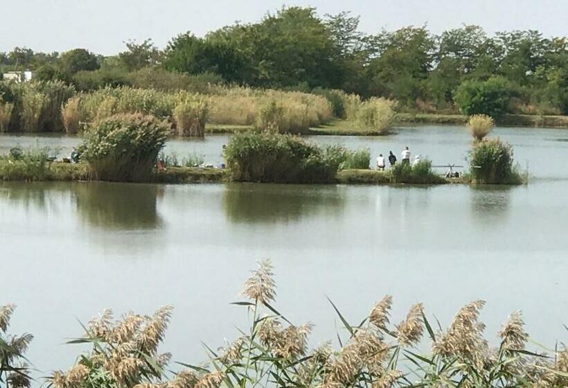 اتاق استاندارد, Cuki Lak