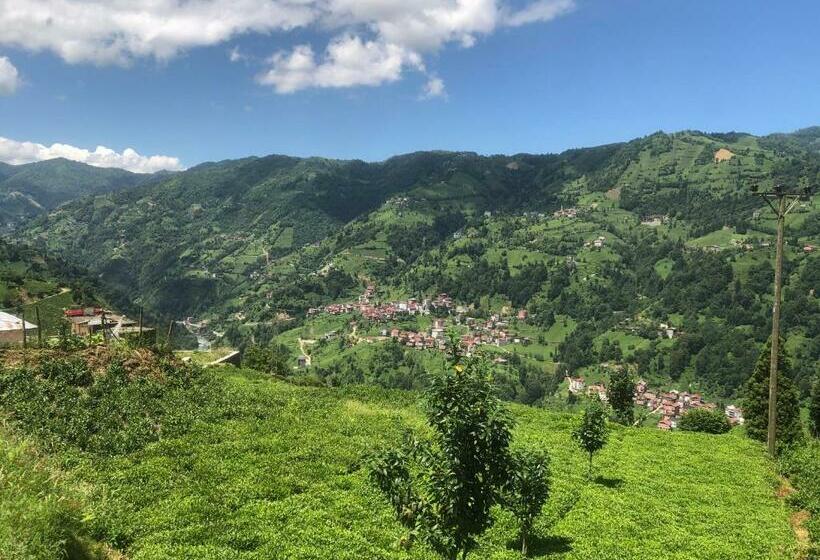 اتاق استاندارد با تخت بزرگ, şeni Bungalow