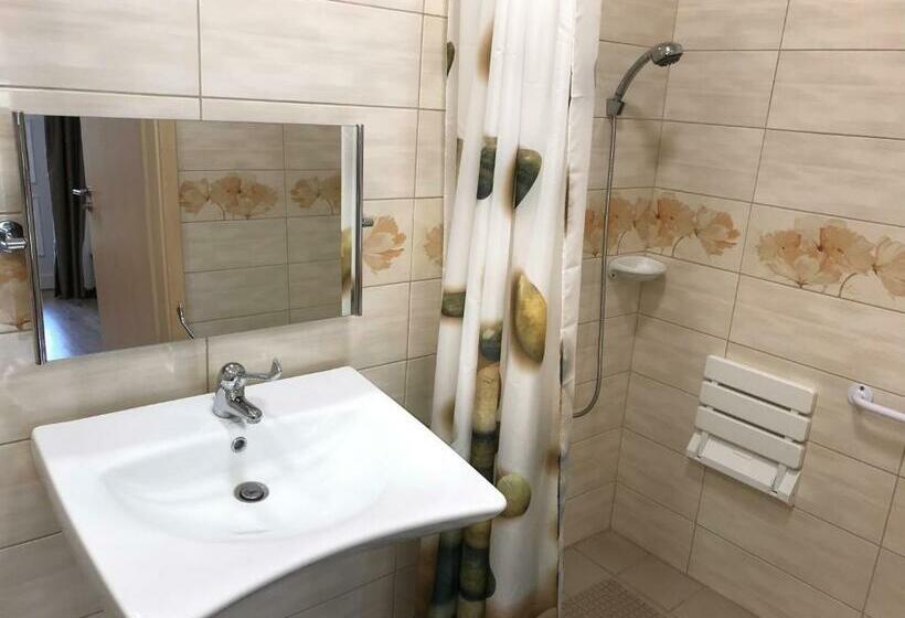 اتاق استاندارد برای معلولان, Tó Party Apartman