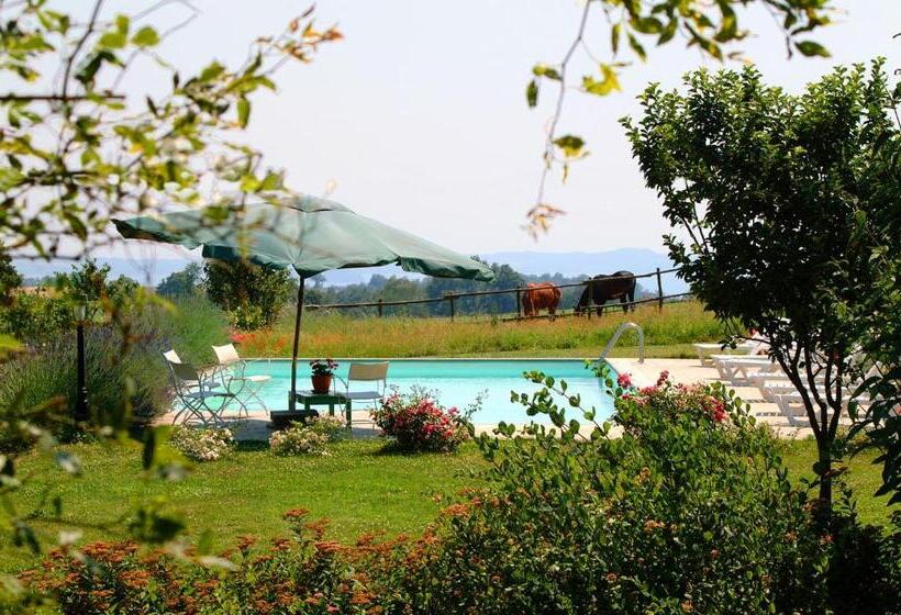 سوییت خانوادگی, Collina Blu