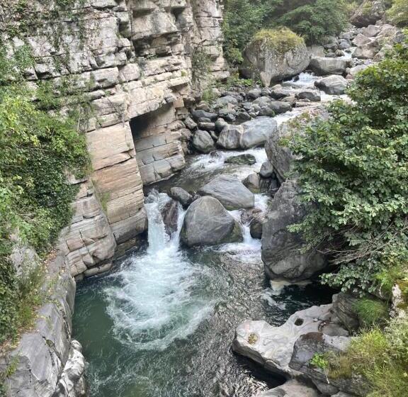 اتاق لوکس خانوادگی, Karadeniz Kuş Cenneti Kaşıkçı