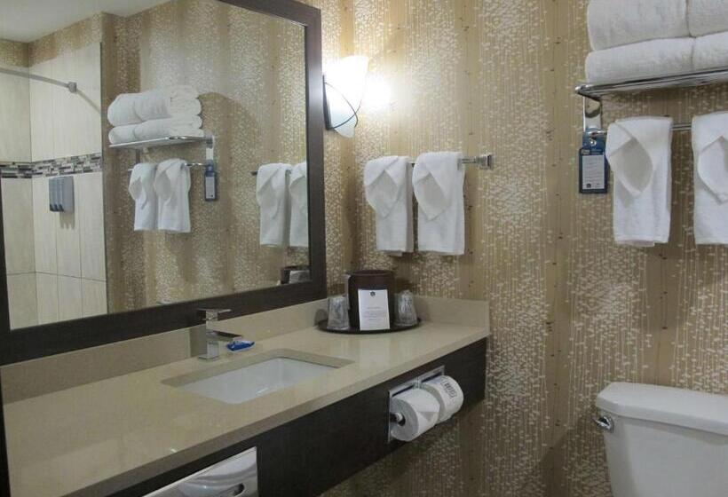 اتاق لوکس با تخت بزرگ, Best Western Plus Kindersley
