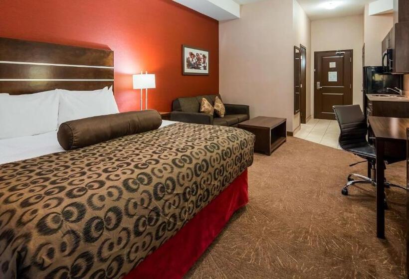 اتاق دلوکس مخصوص معلولین, Best Western Plus Kindersley
