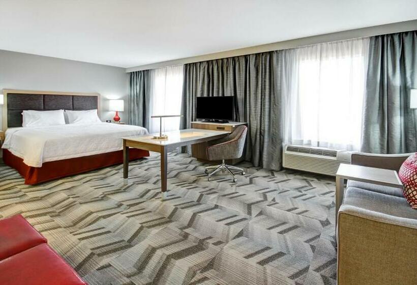 Deluxe Suite King Bed, Hampton Inn & Suites By Hilton Medicine Hat