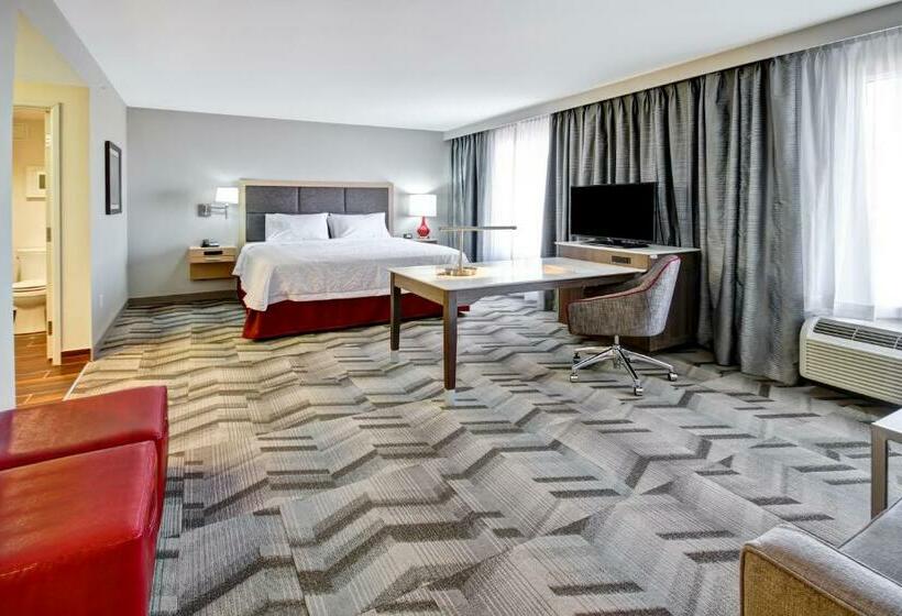 Deluxe Suite King Bed, Hampton Inn & Suites By Hilton Medicine Hat