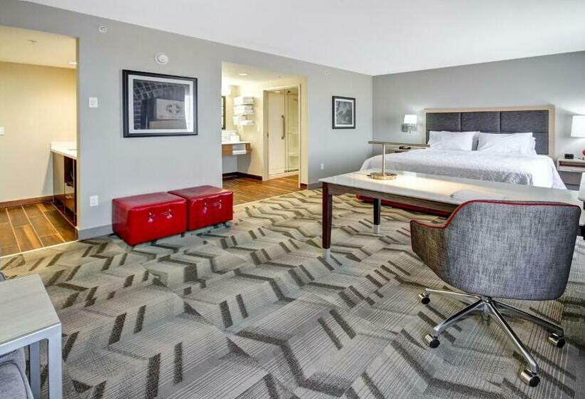 Deluxe Suite King Bed, Hampton Inn & Suites By Hilton Medicine Hat