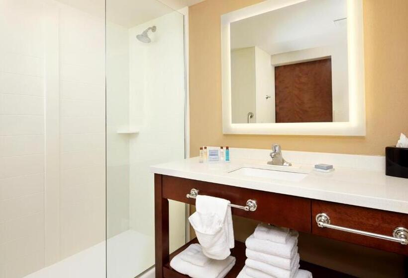 Deluxe Studio, Hawthorn Suites By Wyndham Wheeling Triadelphia At Highlands