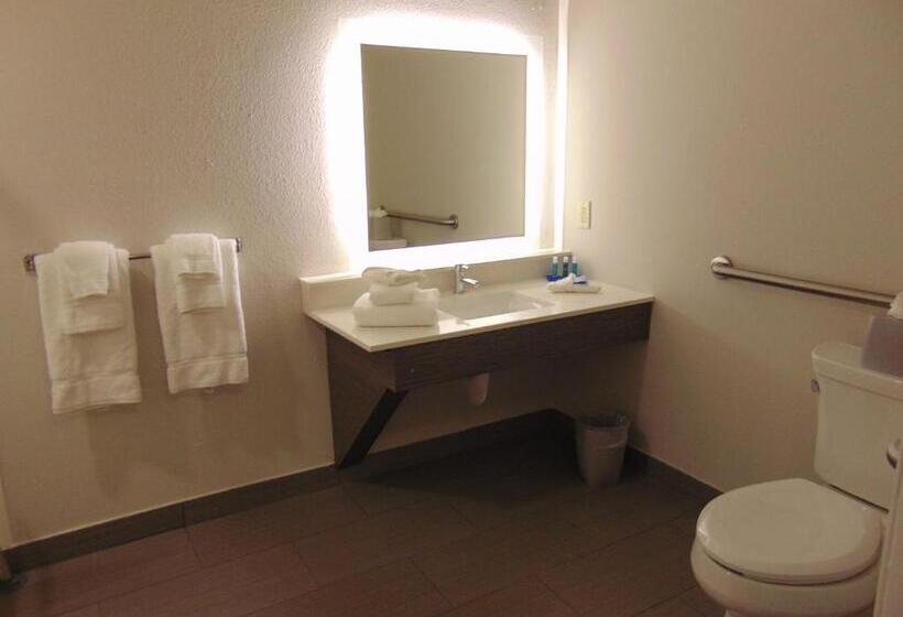 اتاق استاندارد برای معلولان, Holiday Inn Express & Suites Boynton Beach East, An Ihg