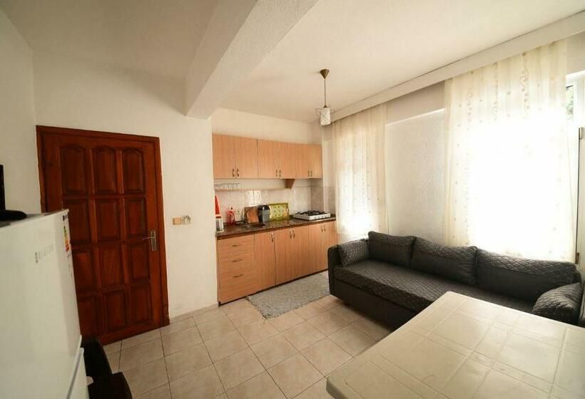 آپارتمان 1 خوابه با بالکن, Fethiye Apart Otel