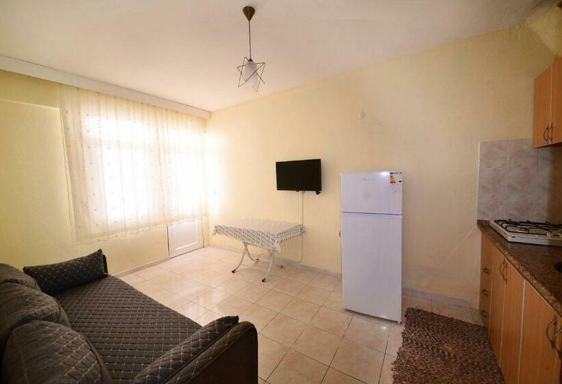 آپارتمان 1 خوابه با بالکن, Fethiye Apart Otel