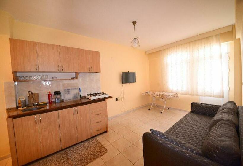 آپارتمان 1 خوابه با بالکن, Fethiye Apart Otel