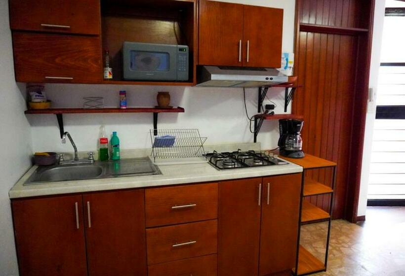 اتاق استاندارد, Hostal Chocolate Calenda