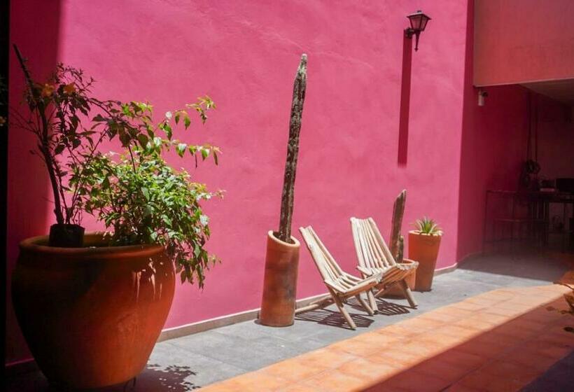 اتاق استاندارد, Hostal Chocolate Calenda