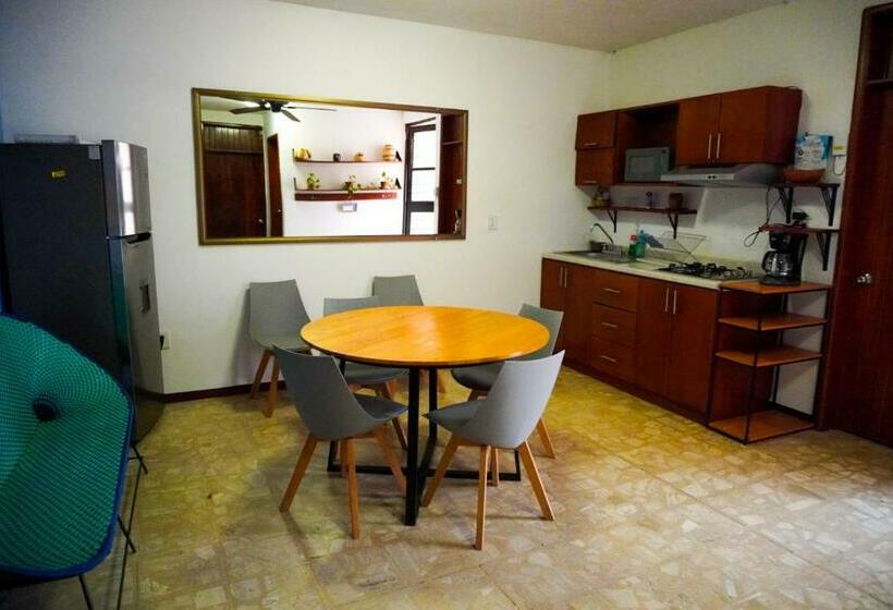 اتاق استاندارد با سرویس بهداشتی مشترک, Hostal Chocolate Calenda