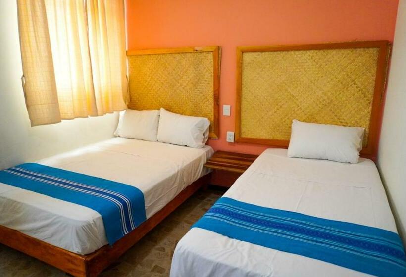 اتاق استاندارد با سرویس بهداشتی مشترک, Hostal Chocolate Calenda