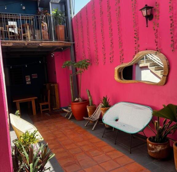 اتاق استاندارد, Hostal Chocolate Calenda