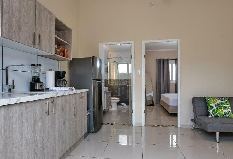 آپارتمان 1 خوابه با چشم‌انداز استخر, Little Sea Aruba