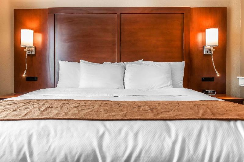 اتاق استاندارد با تخت بزرگ, Comfort Suites Rensselaer Near Fair Oaks