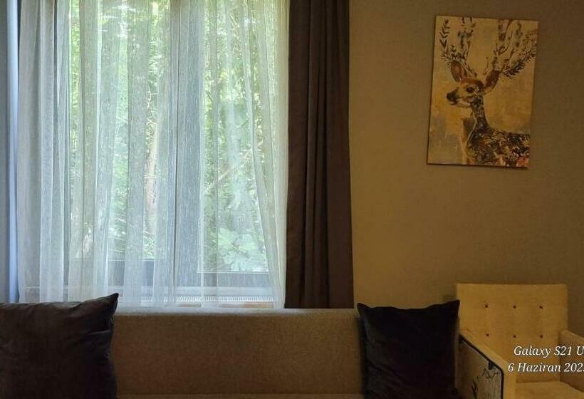 اتاق استاندارد, Vesta Resort Buti̇k