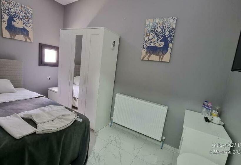 اتاق استاندارد با تخت بزرگ, Vesta Resort Buti̇k