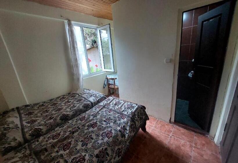 اتاق استاندارد, Guest House Bee