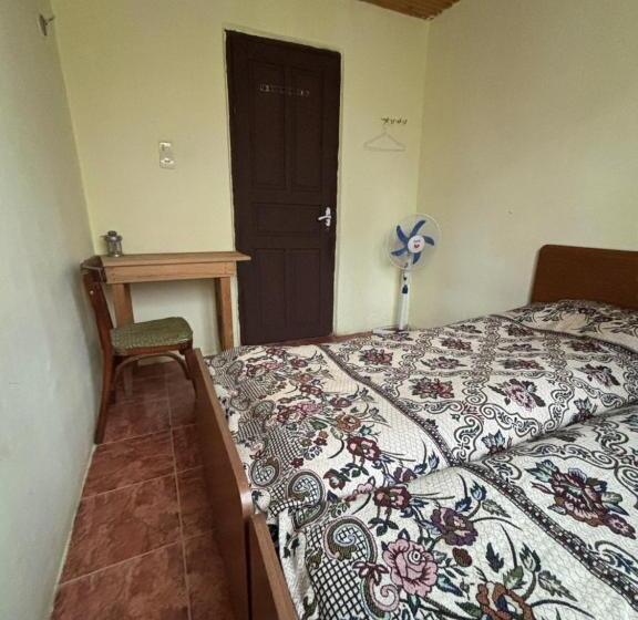اتاق اکونومی, Guest House Bee