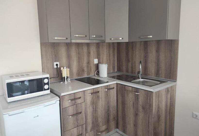 آپارتمان 1 خوابه با بالکن, Sunny House Apartments