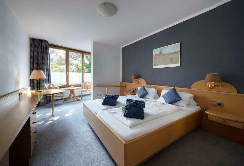 اتاق پرمیوم, Thermenclubhotel All In