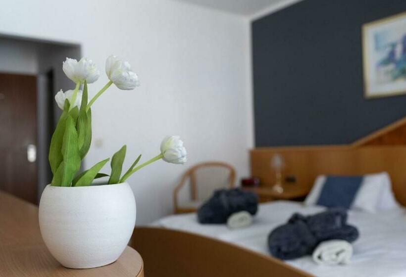 اتاق استاندارد با بالکن, Thermenclubhotel All In