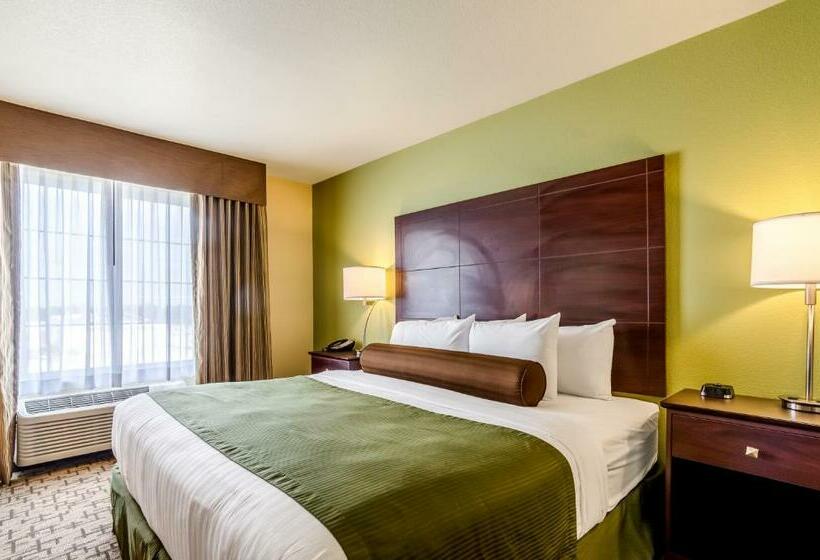 سوییت, Cobblestone Hotel & Suites   Mccook