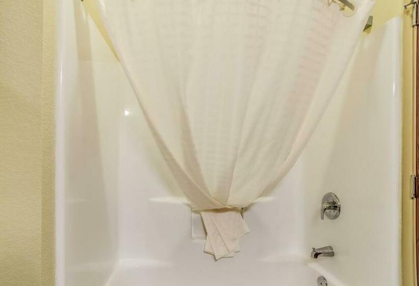 سوئیت با تخت بزرگ, Cobblestone Hotel & Suites   Mccook