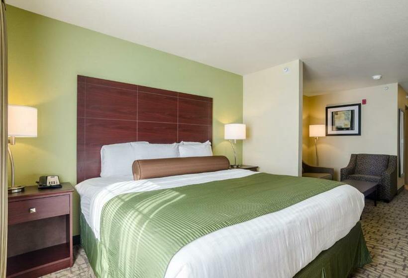 سوئیت با تخت بزرگ, Cobblestone Hotel & Suites   Mccook
