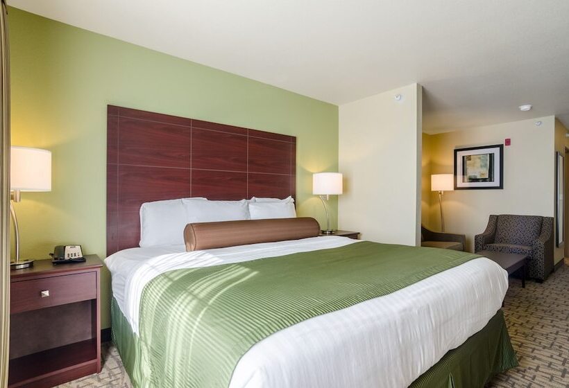 سوییت, Cobblestone Hotel & Suites   Mccook