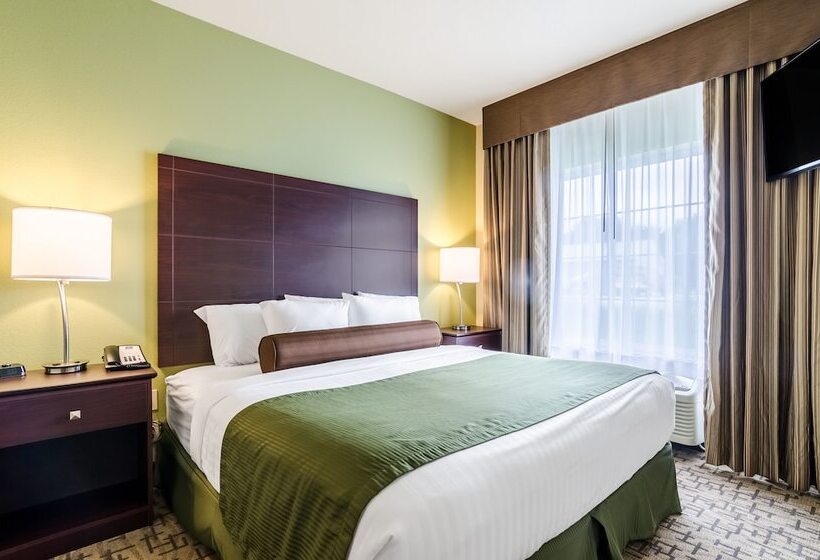 سوییت, Cobblestone Hotel & Suites   Mccook